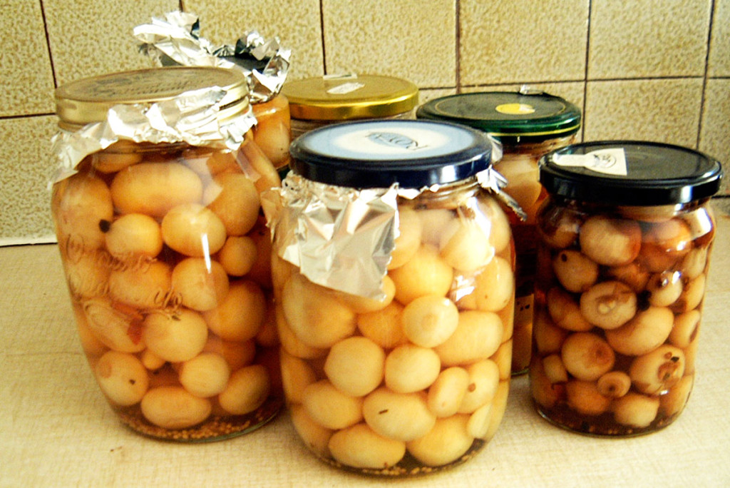 pickled-onions-correct lenafusion.gr